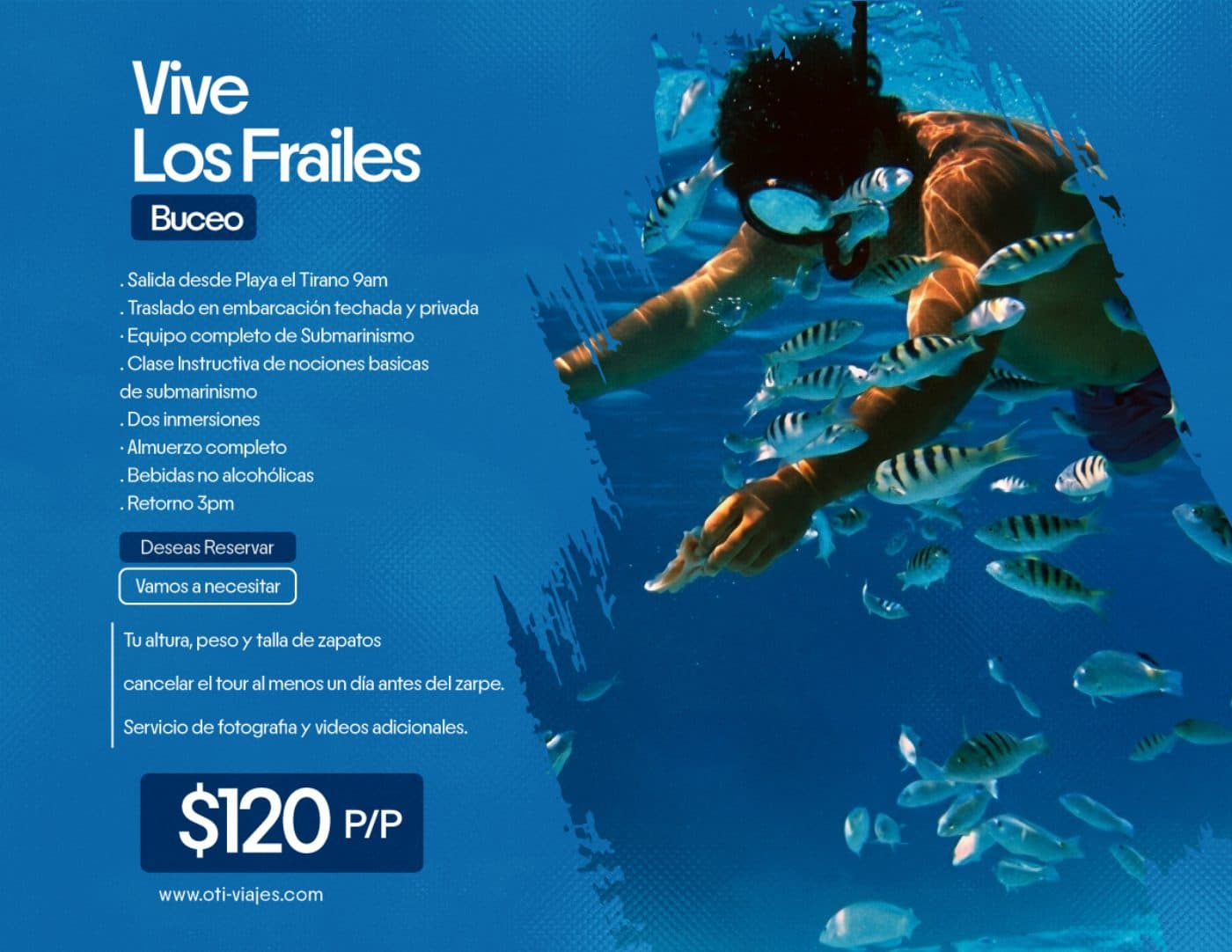Vive Los Frailes · Buceo