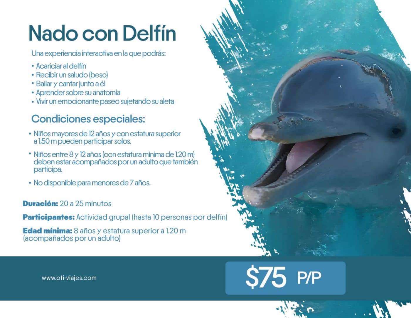 Waterland · Nado con Delfín — lámina 2 del catálogo