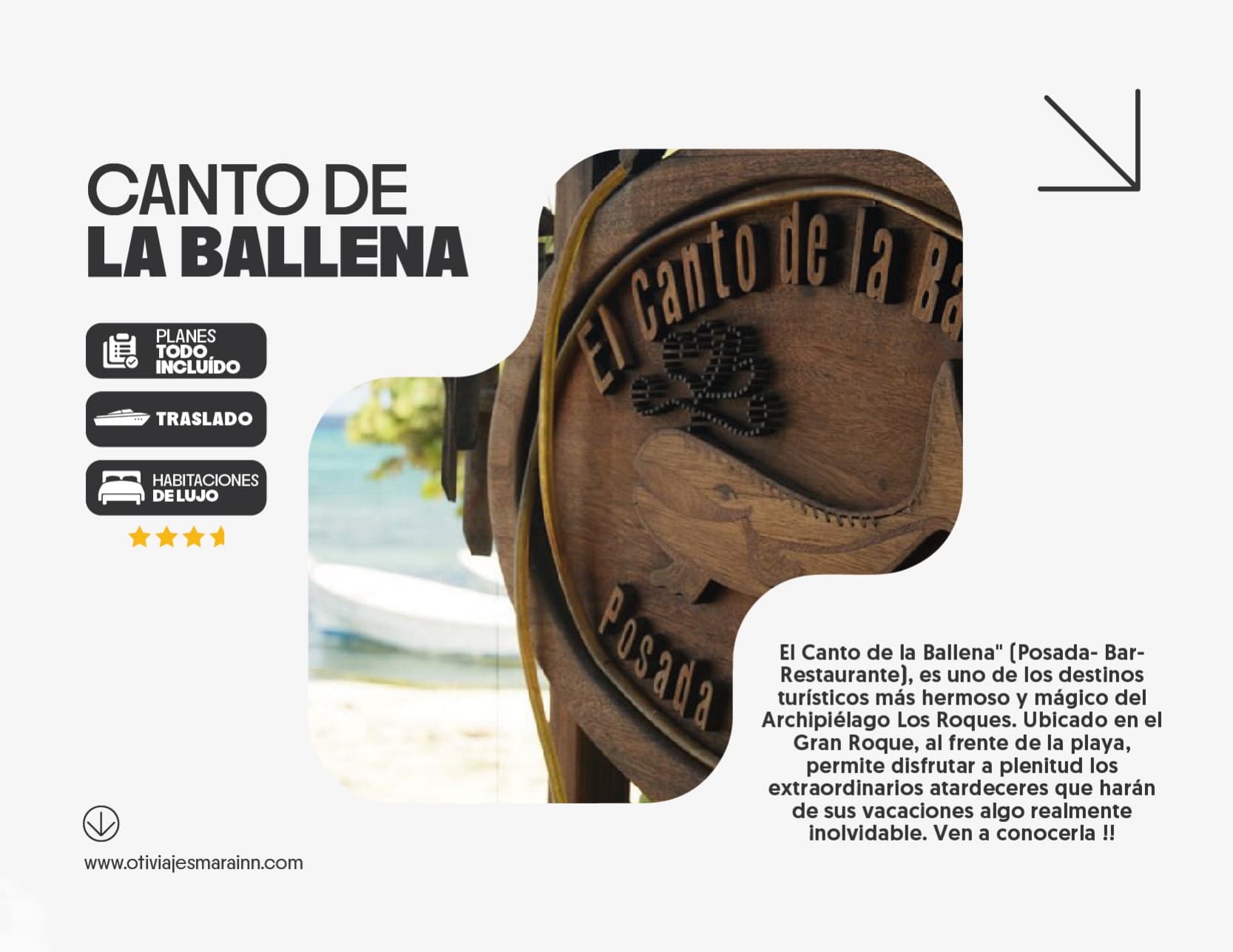 El Canto de la Ballena